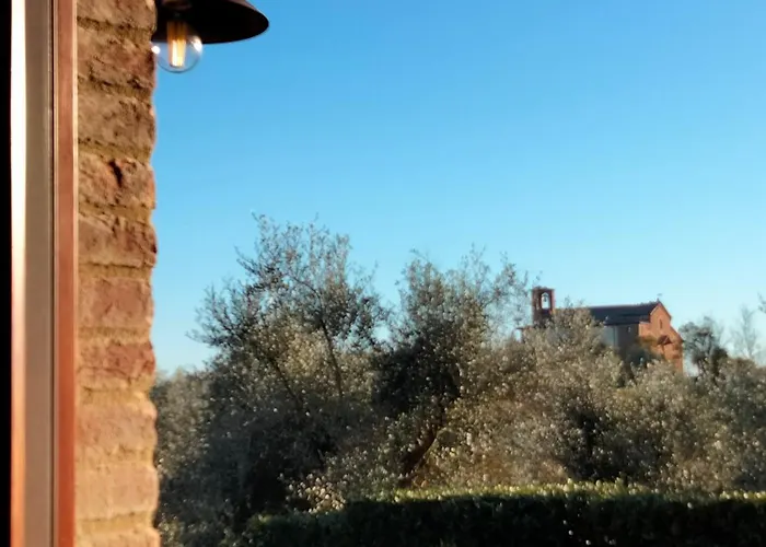 Oliveta Blu *
